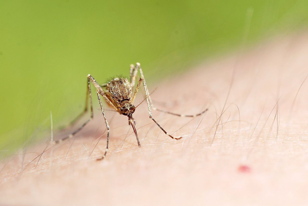 City to spray for West Nile virus